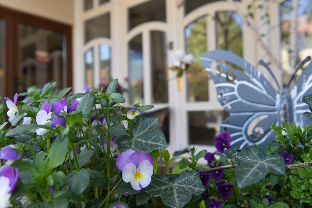 Guest House Romantika Panzio ギュラ エクステリア 写真